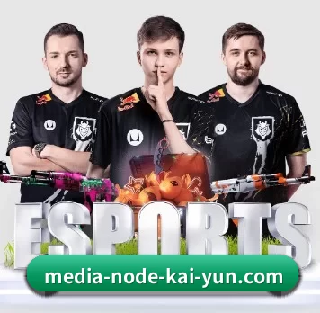 media-node-kai-yun.com APP